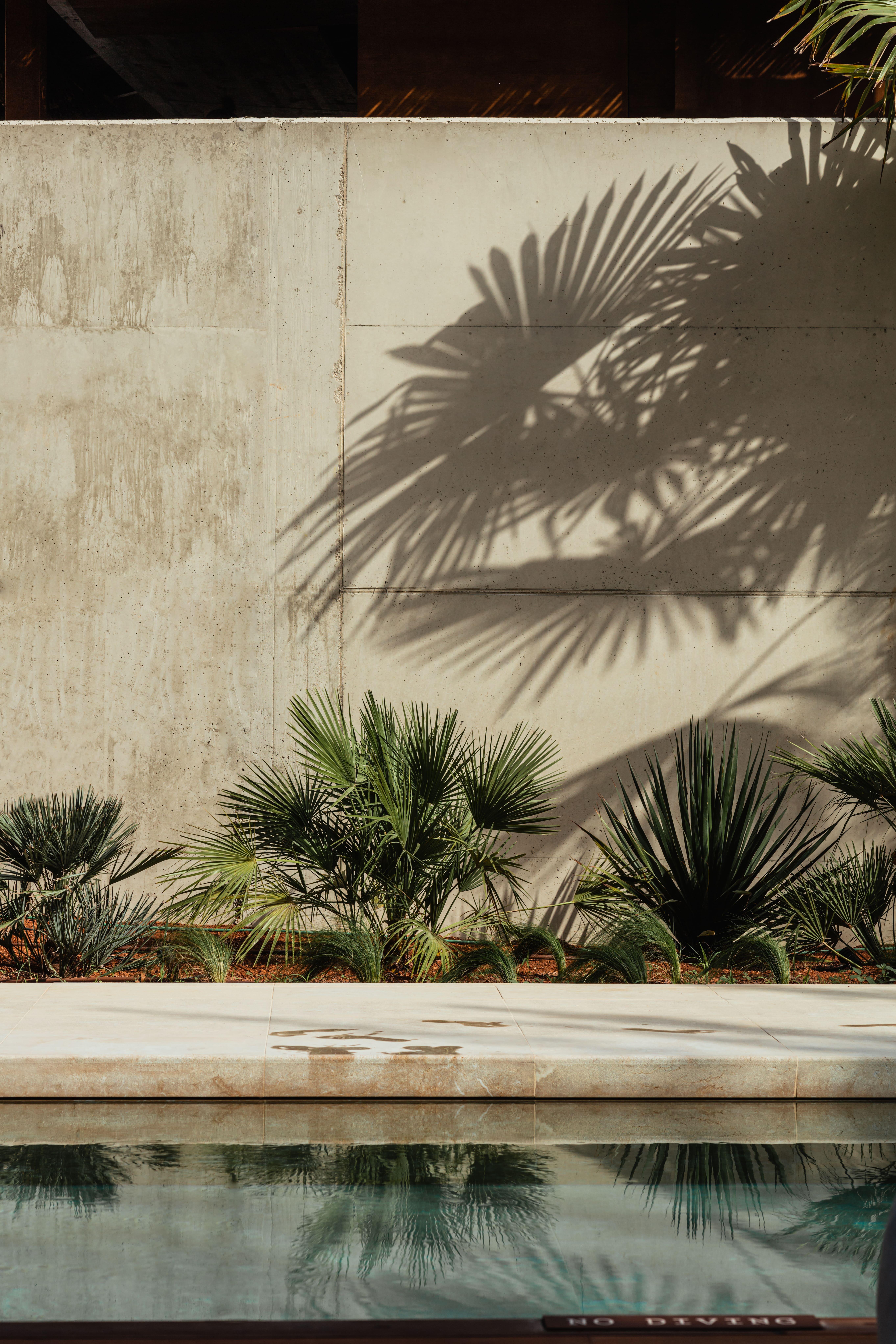 Oku Ibiza (Adults Only) Hotel San Antonio  Bagian luar foto Palm shadow